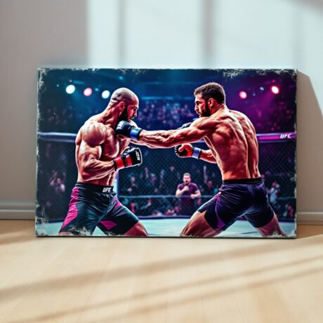 Fondamentaux du MMA (Arts Martiaux Mixtes)