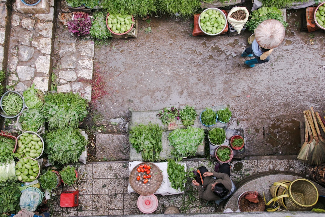 group planting vegetables together